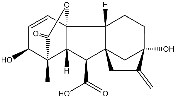 赤霉素GIBBERELLIC ACID，居然有這么神奇？